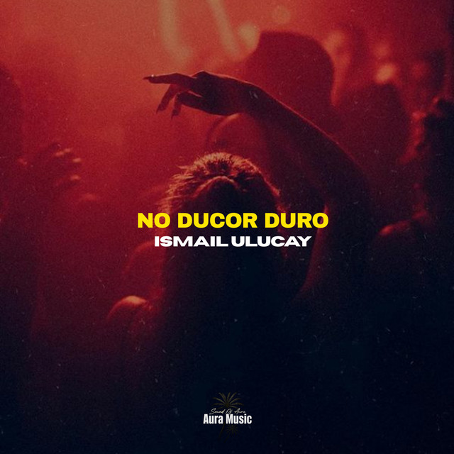 Non Ducor, Duco album image