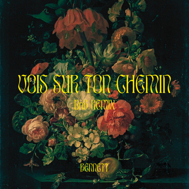 Cover du titre Vois sur ton chemin - DnB Remix