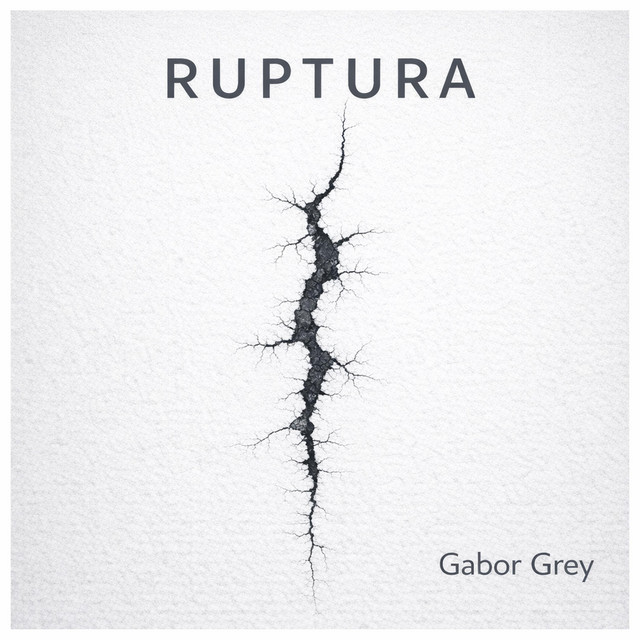 Gabor Grey