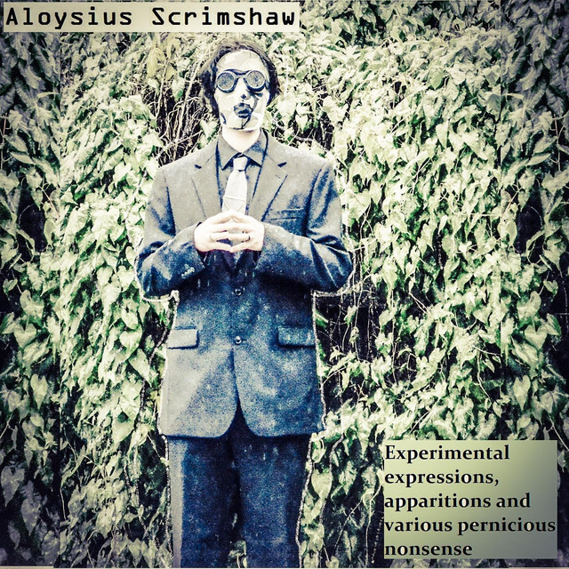 Experimental Expressions, Apparitions and Various Pernicious Nonsense cover art