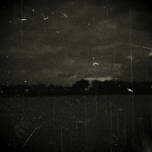 Cover du titre Never Again