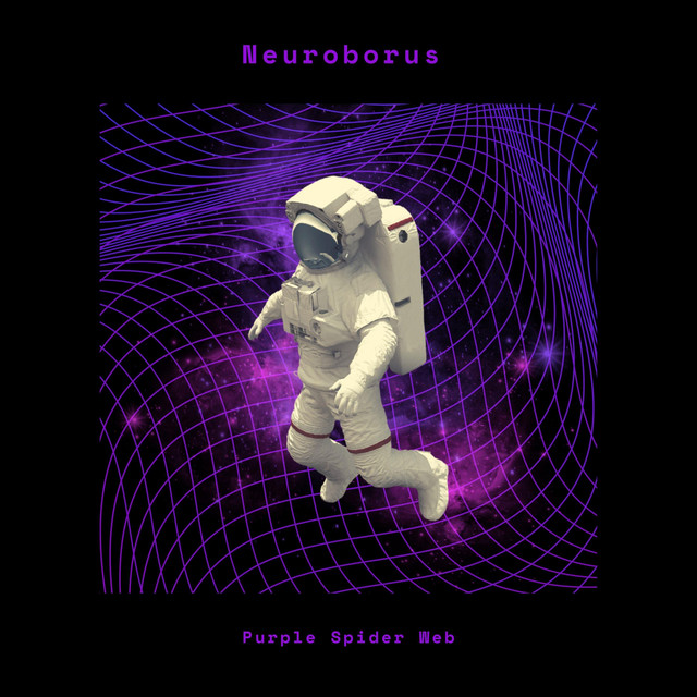Purple Spider Web cover art