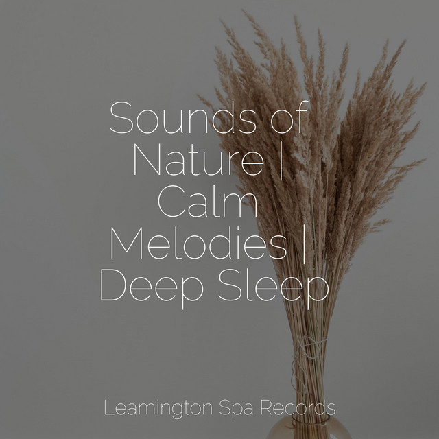 Sounds of Nature | Calm Melodies | Deep Sleep - Album by Yoga Workout ...