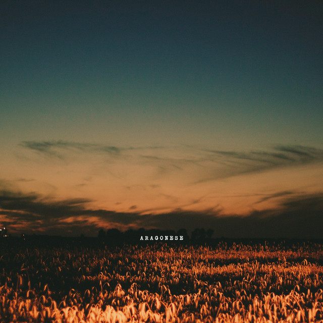 Album cover for Aragonese by Ametrine Skies