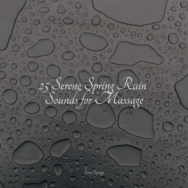 25 Serene Spring Rain Sounds for Massage - Album by White Noise ...