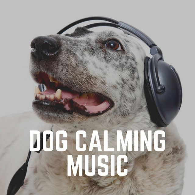 Dog Calming Music - Album by Dog Music Therapy | Spotify
