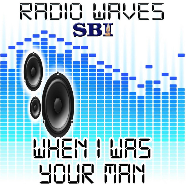 When I Was Your Man - Tribute to Bruno Mars - Unorthodox Jukebox