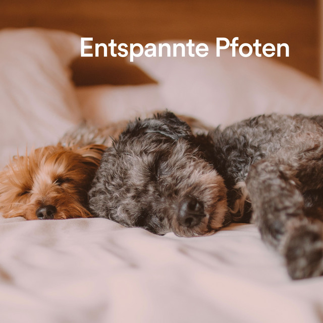 Entspannte Pfoten cover art