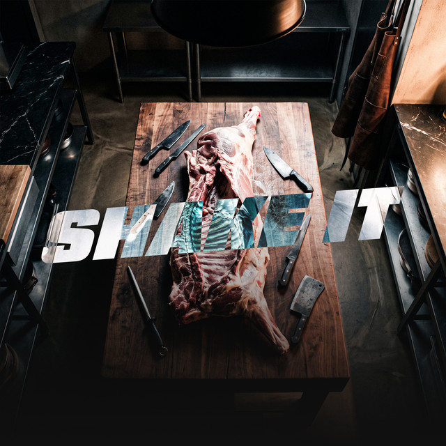 SHAKE IT album image