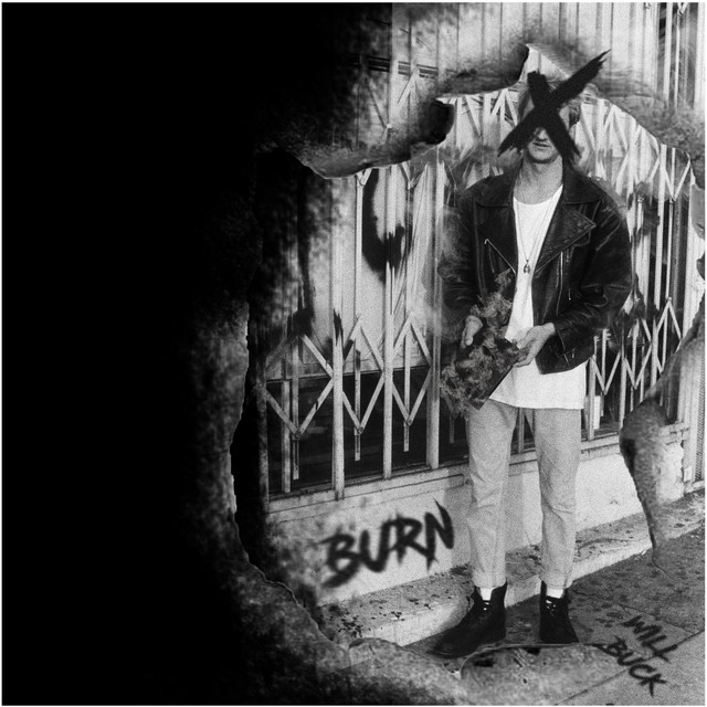 Burn cover art
