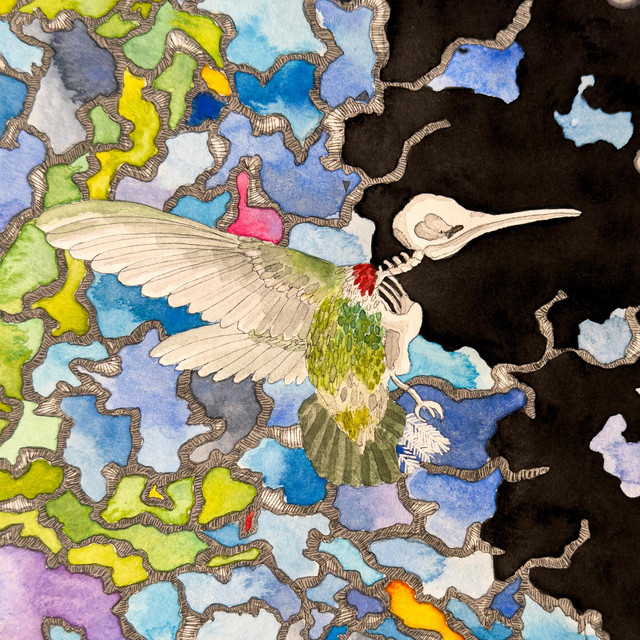 Joyas Voladoras cover art