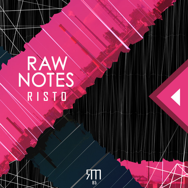Raw Notes - Album by Risto | Spotify