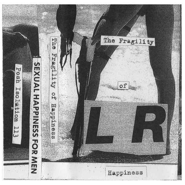 The Fragility of Happiness cover art