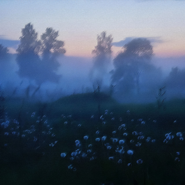 escapism
