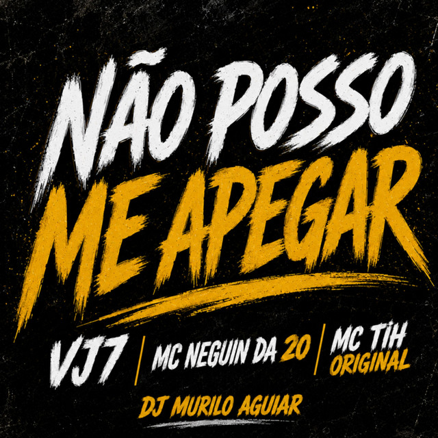 NAO POSSO ME APEGAR