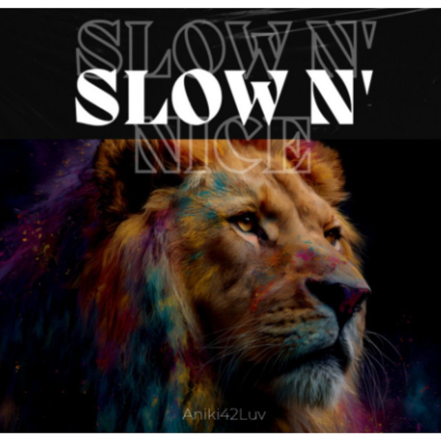 SLOW N' NICE cover art