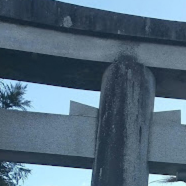 外道 Photo