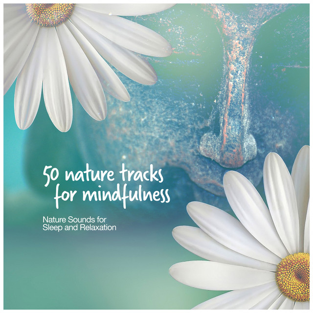 50 Nature Tracks for Mindfulness - Album by Nature Sounds for Sleep and ...