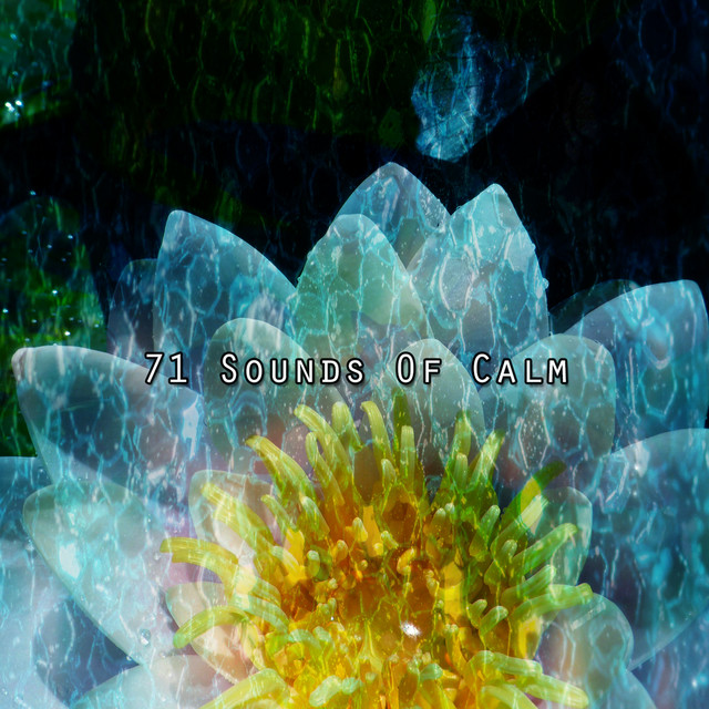 71 Sounds Of Calm cover art