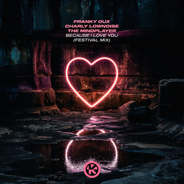 Because I Love You (Festival Mix)