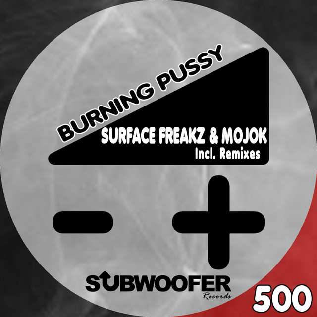 Burning Pussy cover art