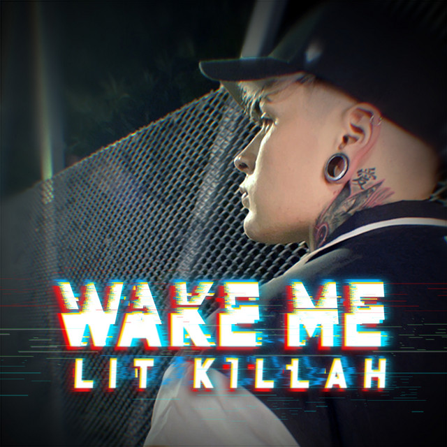 Wake Me cover art