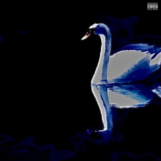 For The Swans