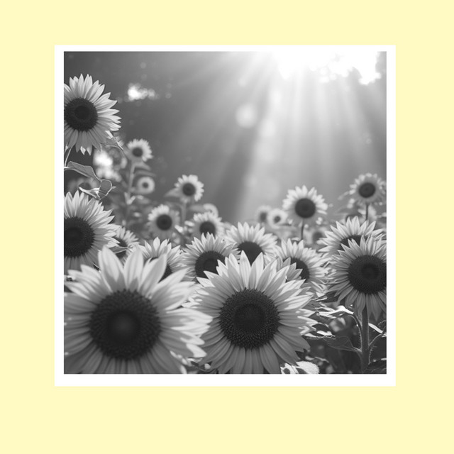 Sunflower in 90s