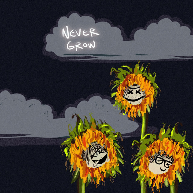 Never Grow cover