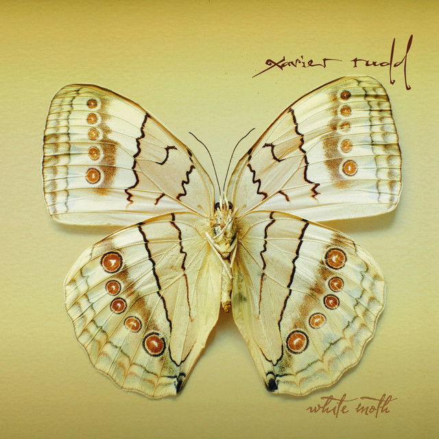 White Moth cover art