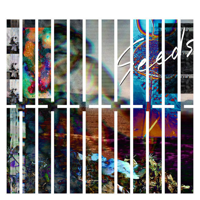 Seeds - Single by THE XXXXXX | Spotify