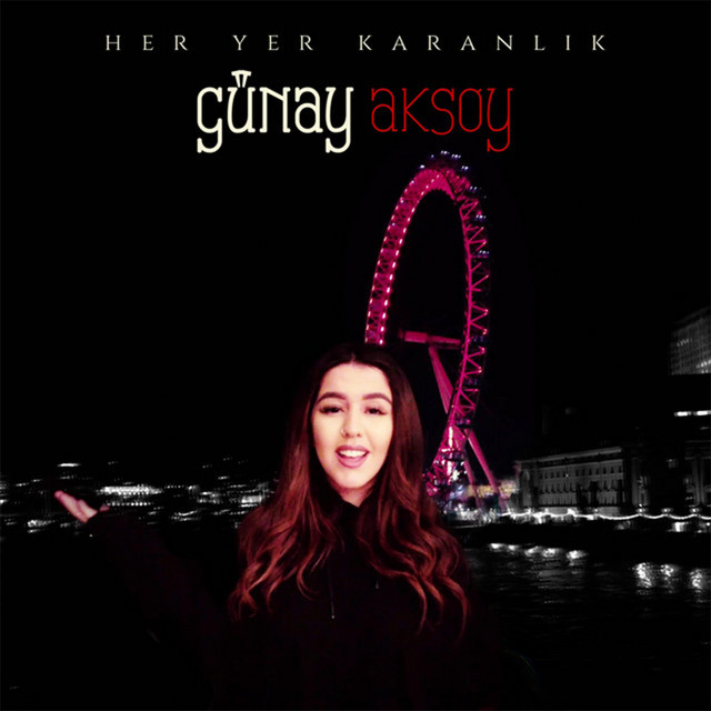 Her Yer Karanlık cover art