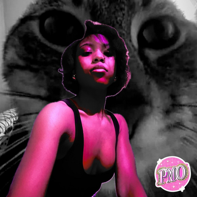 PMO cover art