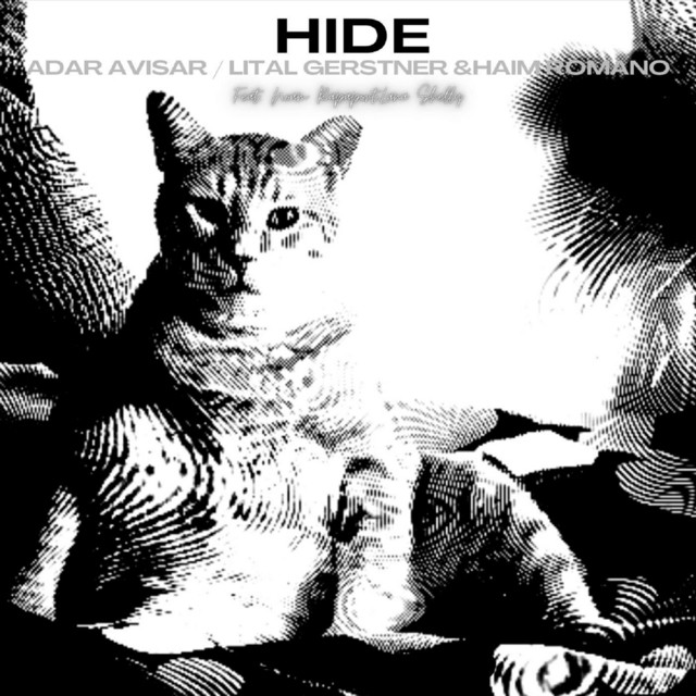 Hide Instrumental Single By Adar Avisar Spotify