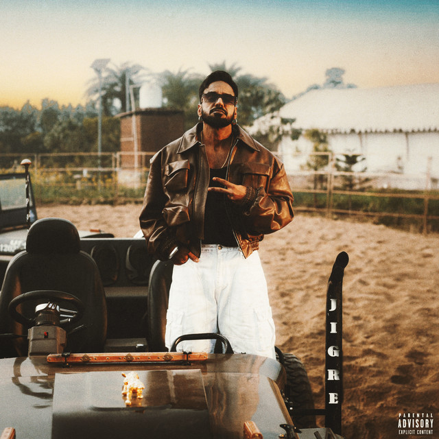 undefined album image