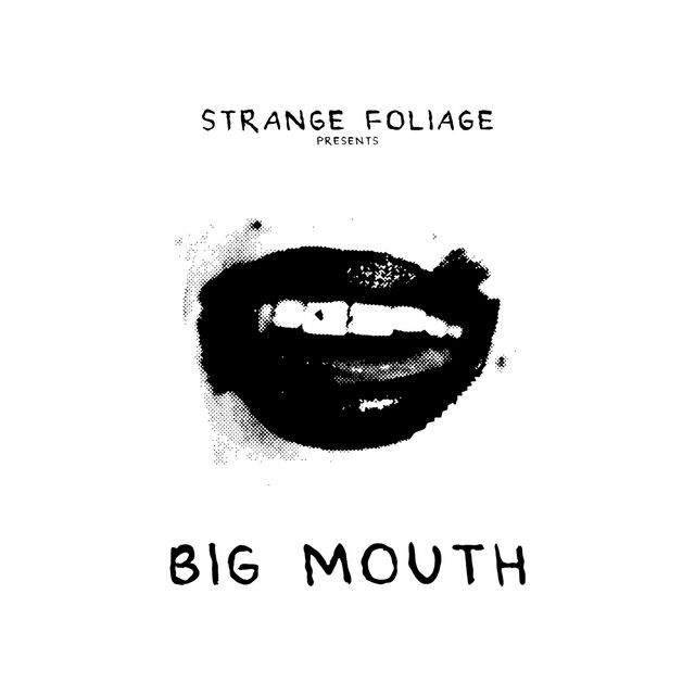 Big Mouth cover