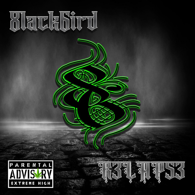 R3LAP53 cover