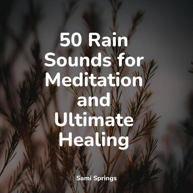50 Rain Sounds for Meditation and Ultimate Healing - Album by ...