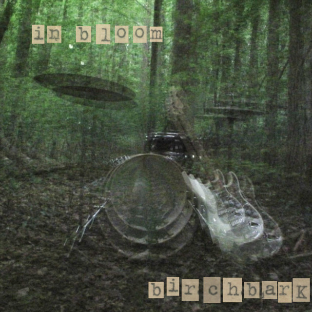 in bloom cover art