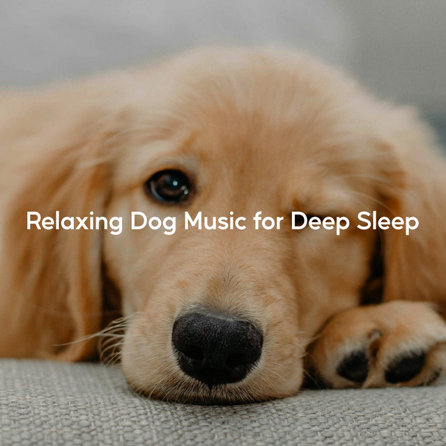 Relaxing Dog Music for Deep Sleep