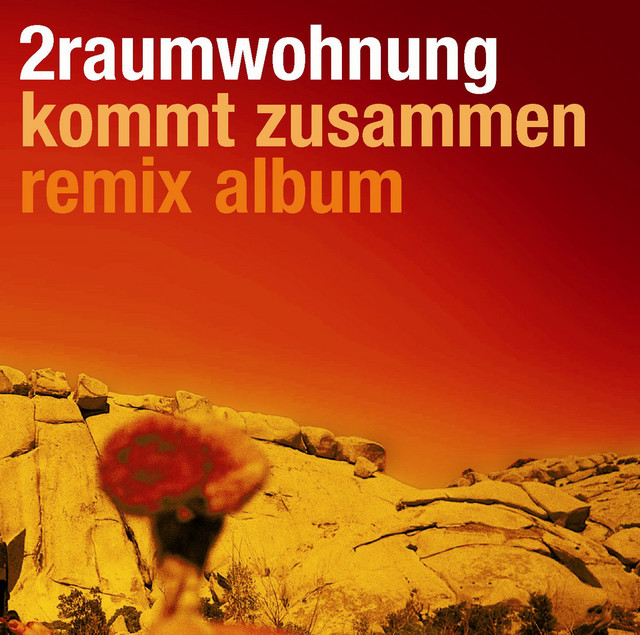 Kommt zusammen Remix Album cover art