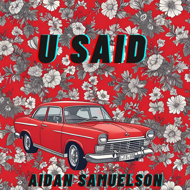 U Said cover art