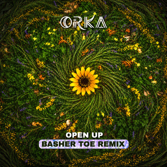 Open Up (Basher Toe Remix) cover