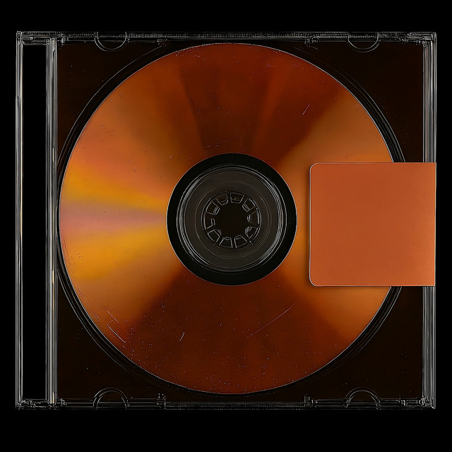 Delusional Till U See It, Vol. 2 cover art