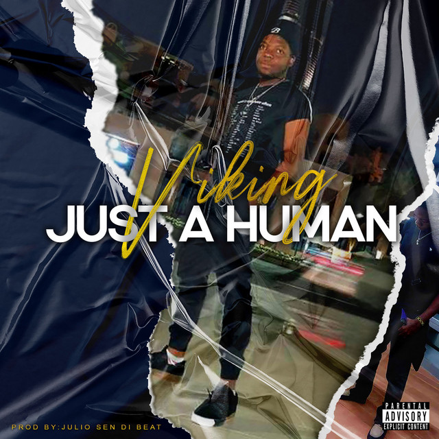 Just a Human cover art