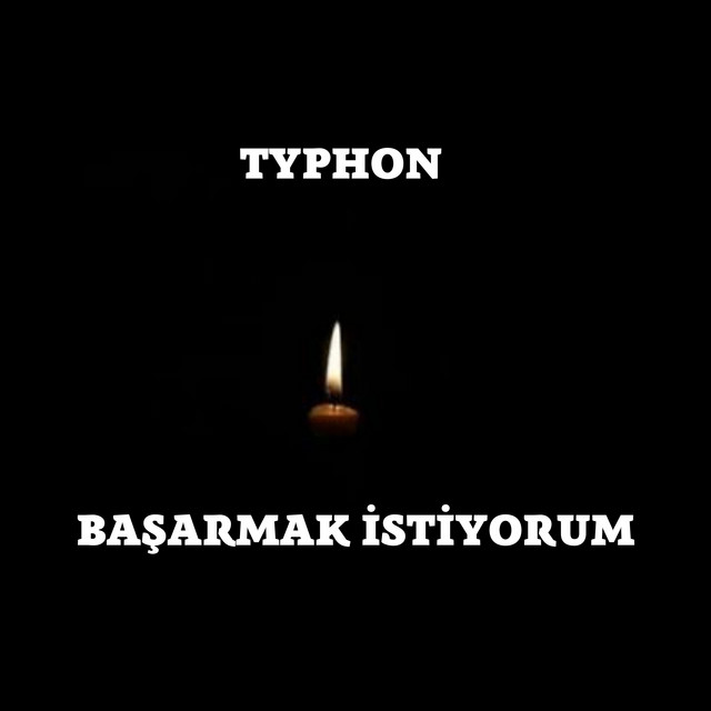 Başarmak İstiyorum cover