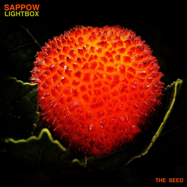 Lightbox cover art