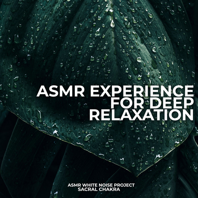 ASMR White Noise Project