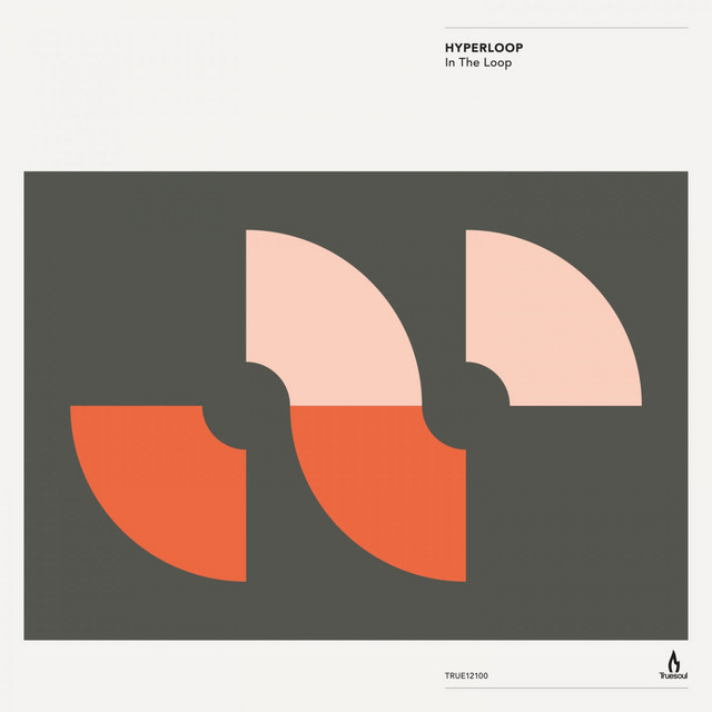 In the Loop cover