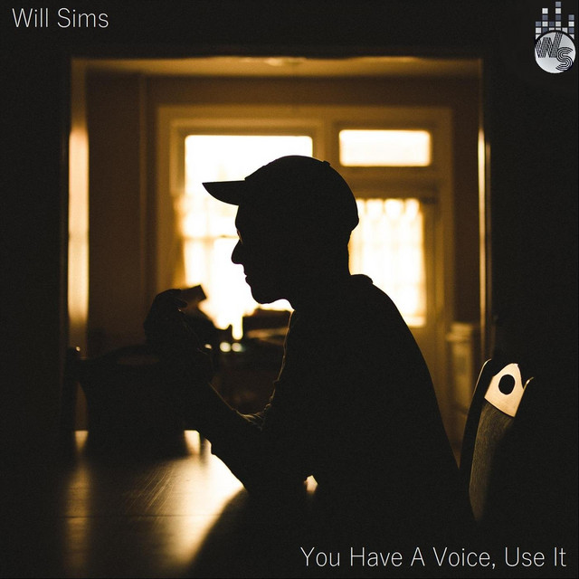 You Have A Voice, Use It cover